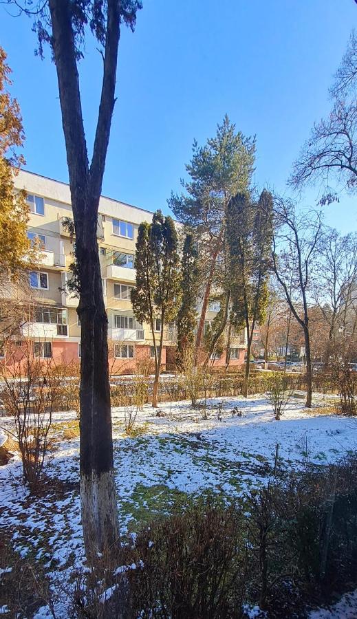 Larisa Apartment Клуж-Напока Екстериор снимка